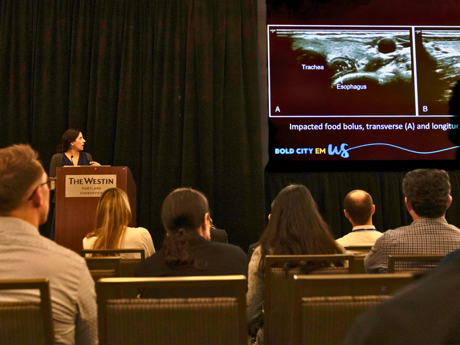 Faculty lecturing on esophageal ultrasound at a national meeting